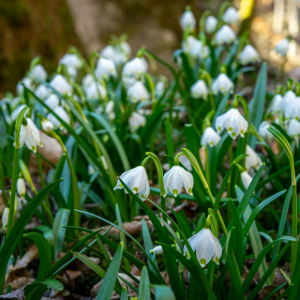 Hauptbild des Beitrags